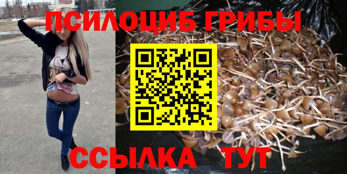 Галлюциногенные грибы Cubensis Каспийск