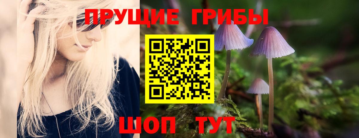 сколько стоит  Вход с VPN  Каспийск  Псилоцибиновые грибы Psilocybine cubensis  Галлюциногенные грибы мицелий 